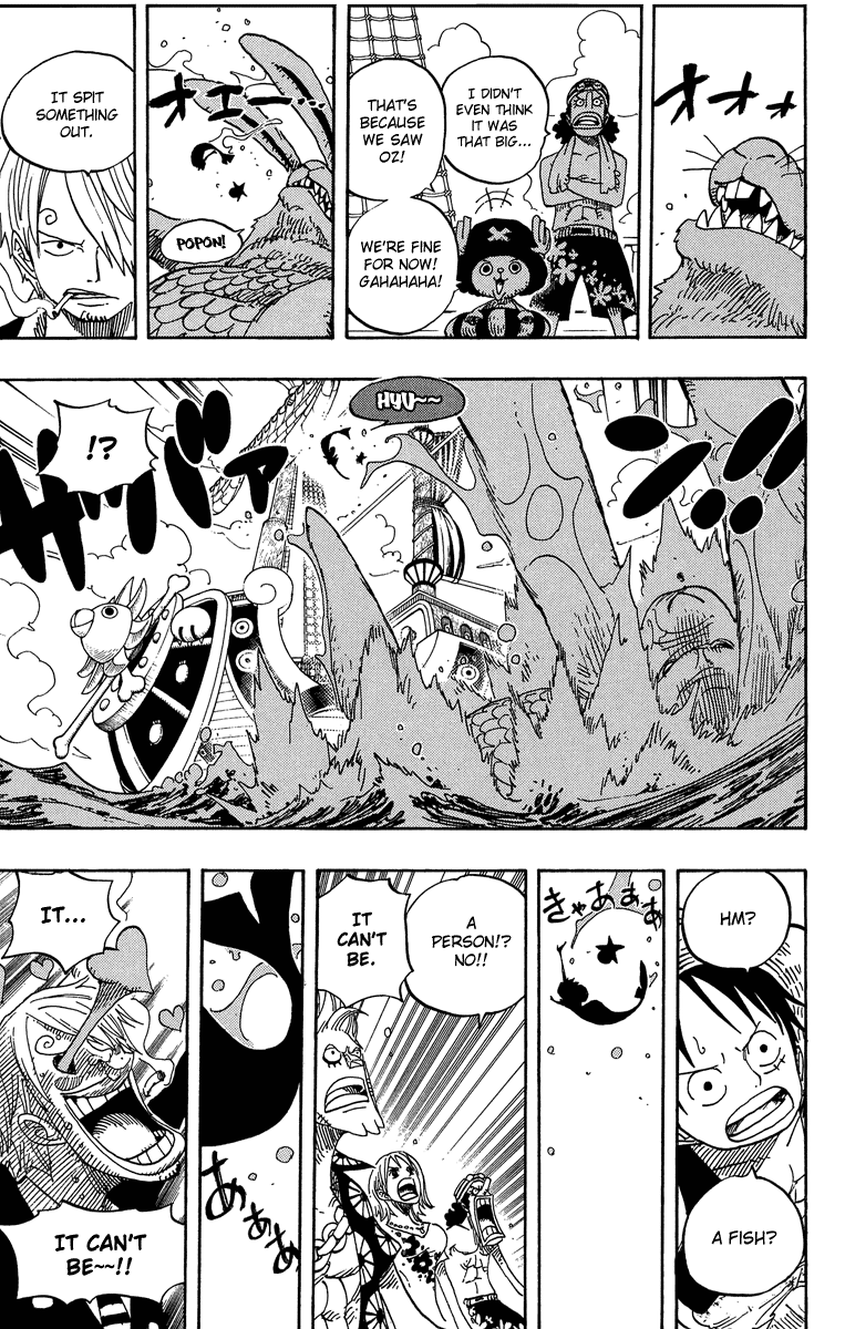 One Piece, Chapter 490 image 16